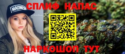 прущие грибы Гусиноозёрск
